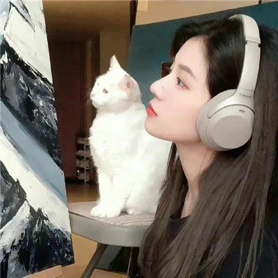 野猫